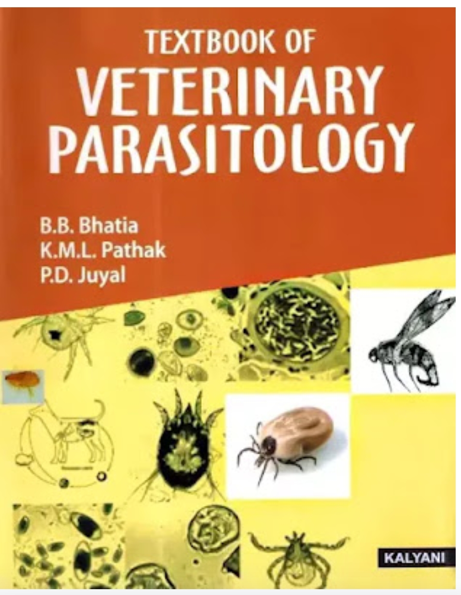 Qazafi Book Shop قذافی بک شاپ