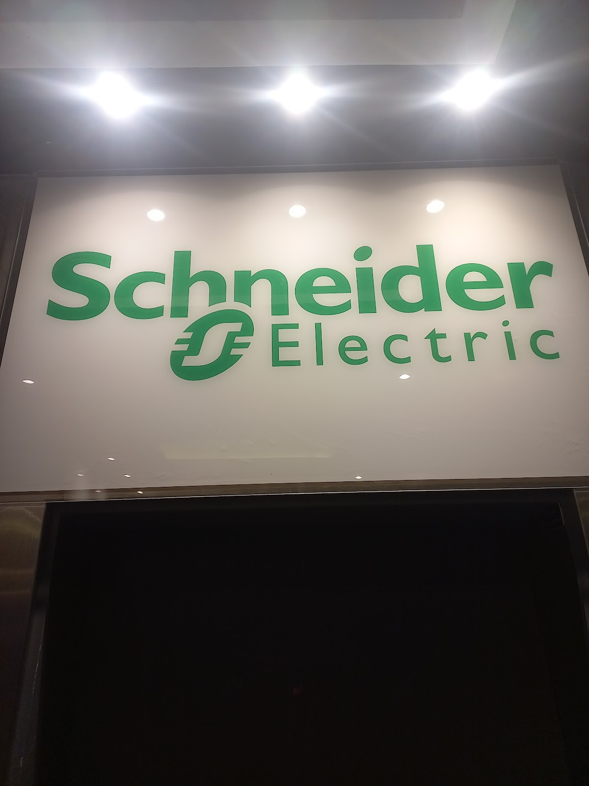 Schneider Solutions and Services Pvt Ltd